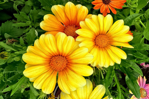 1737062 (a): :2560x1707